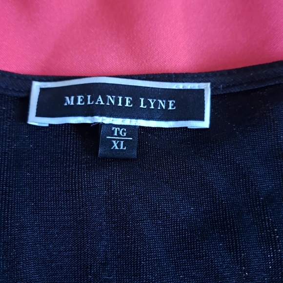 Gold and Black Melanie Lyne Top - Picture 3 of 3